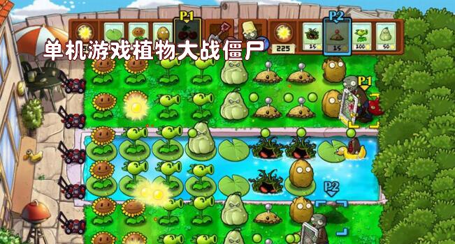 单机游戏植物大战僵尸